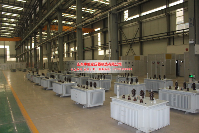 禹城S22变压器